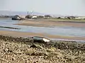 River Lune, at Bazil Point, Overton, Lancashire, looking towards Glasson Dock at low tide