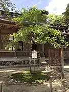 At a shrine in Kyushu, Japan