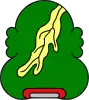 Coat of arms of Yahualica