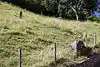 Goffersberg,  Neolithic Graves