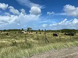 Farm on the road to Golden Grove