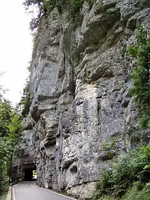 Road through one of the Gorges of Pichoux