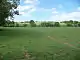 A green field with trees and a small hill in the background