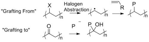 Schematic of graft polymerizations