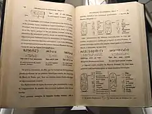 Photography of an old open book, its pages yellow-brown, showing some hieroglyphs and a text explaining how to translate them.