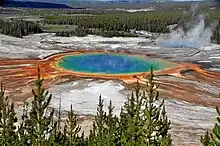 Steam rises from a rainbow hot spring