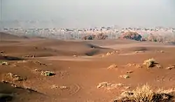 Sheds for drying grapes in the desert outside Shanshan