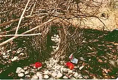 Bower near Cooktown, Australia