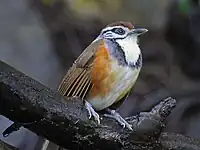 At San Diego Zoo