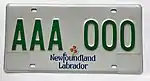 A prototype of a new electric vehicle licence plate for Newfoundland and Labrador.