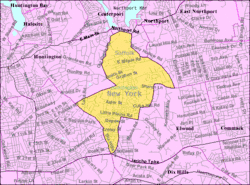 U.S. Census map