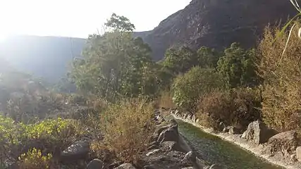 One of the streams flowing in the valley