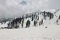 Gulmarg in Kashmir