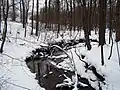 Creek in Guty during winter