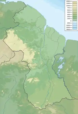 Mount Wokomung is located in Guyana