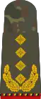 General(retired)