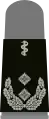 Oberfeldarzt (Army Medical Officer with the equivalent rank of Lieutenant Colonel)