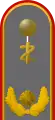 Generalarzt(Army General Dentist, service uniform epaulette)