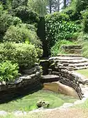 A small pond surrounded by greenery