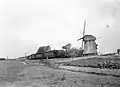 NS 7742 with carriages en route between Bergen and Alkmaar, near the mill in Koedijk; 1953.