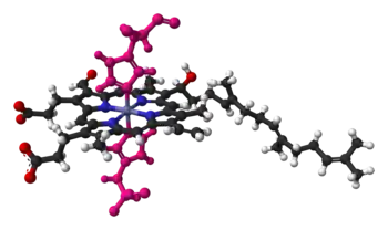 Heme a in cytochrome c oxidase, bound by two histidine residues (shown in pink)