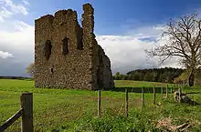 Hall Forest Castle