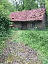 Shed in the Sonian Forest