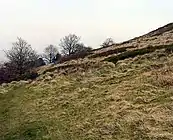 Werneth Low's Hanging Bank.