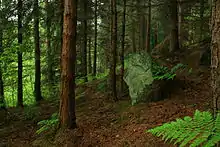 Woodland at Hardcastle Crags