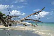 Lagoon, Havelock Island