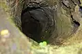 Inside view of lava tree with moss