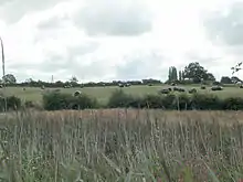 Field of hay with green field beyond