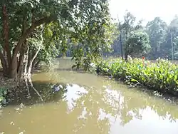 Lake in Hazaribagh Wildlife Sanctuary