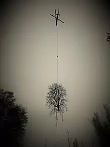 Helicopter pruning