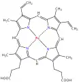 Heme group of hemoglobin with a porphin macrocycle.