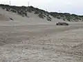 The beach at Hemsby