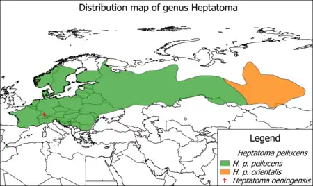 recorded distribution of Heptatoma