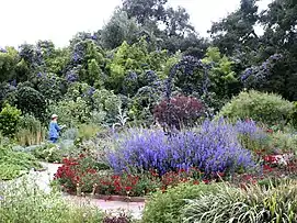 Spring bloom in the Herb Garden