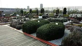 Herb garden of National Museum of Nature and Science Tokyo