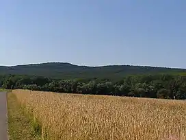 View from the Bottigtal near Friedrichsdorf of the Gickelsburg (rear) and of the Hesselberg (foreground)