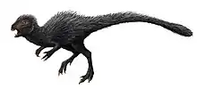 Heterodontosaurus tucki