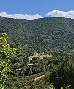 The headwaters above Hidden Villa, viewed from a hill above Moody Road in Los Altos Hills