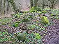 Higgin's House ruins, an old cottage once visited by Robert Burns and Richard Brown