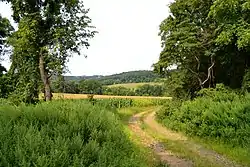 Hiking trail through Hill & Dale Preserve