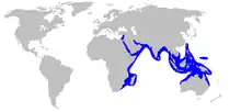 World map with blue shading along eastern Africa and Arabian  Peninsula and further east to Mumbai, including through the Red Sea to the eastern extreme of the Mediterranean