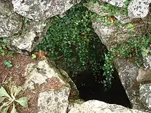 Des rochers couverts de végétation laissent apparaître un trou noir et profond.