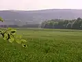 Farmland and forests form Hochspeyer's environment