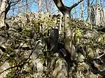 Basaltic blocks on the summit of the Hohe Acht