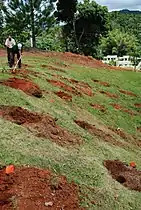 Preparing to plant in Maricao