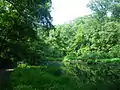 trail running next to a pond